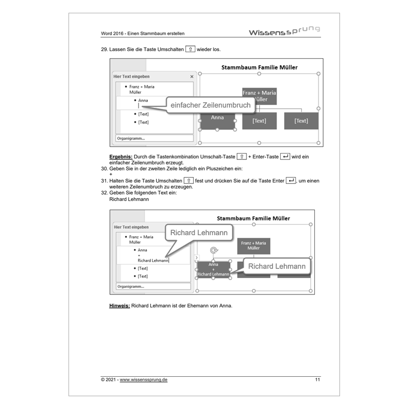 Word 2016 - Einen Stammbaum erstellen - Anleitung - S0117-P – Bild 3