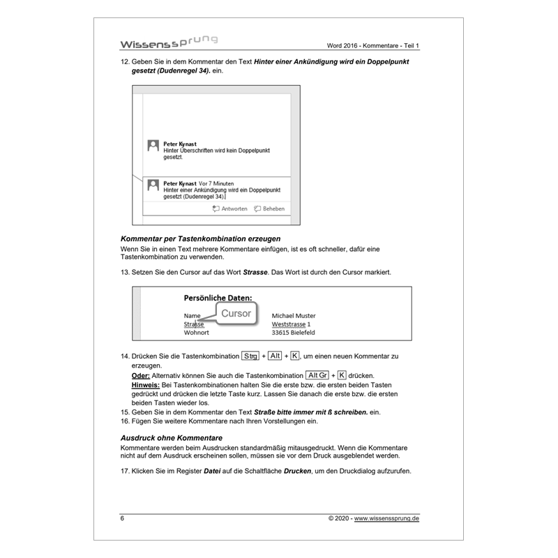 Word 2016 - Kommentare - Teil 1 - Anleitung - S0365-P – Bild 3
