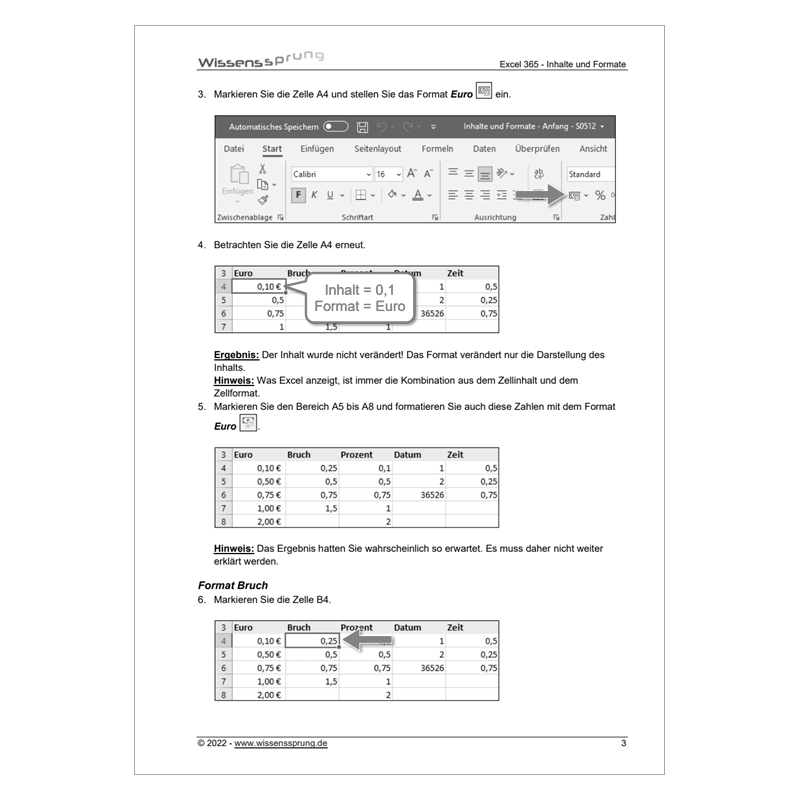 Excel 365 - Inhalte und Formate - Anleitung - S0512-P – Bild 2