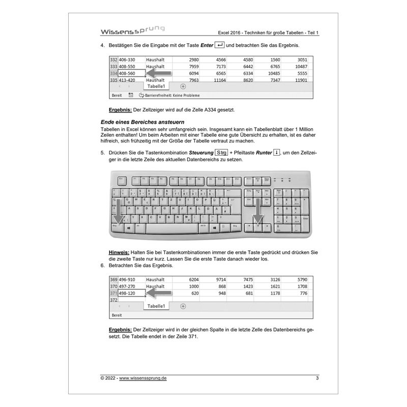 Excel 2016 - Techniken für große Tabellen - Teil 1 - Anleitung - S0527-P – Bild 2